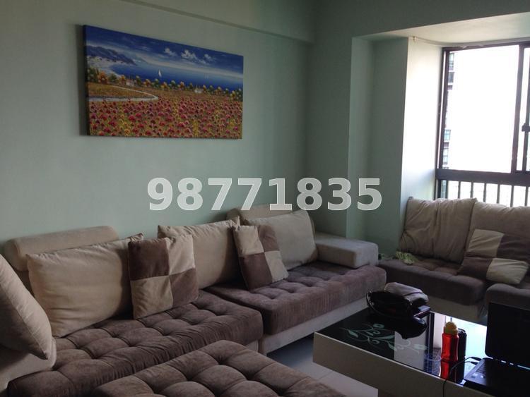 Blk 1C The Pinnacle@Duxton (Bukit Merah), HDB 4 Rooms #64056502